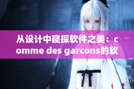 從設(shè)計(jì)中窺探軟件之美：comme des garcons的軟件哲學(xué)