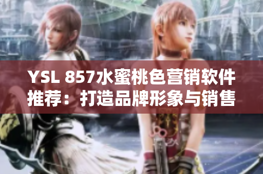 YSL 857水蜜桃色營銷軟件推薦：打造品牌形象與銷售轉(zhuǎn)化