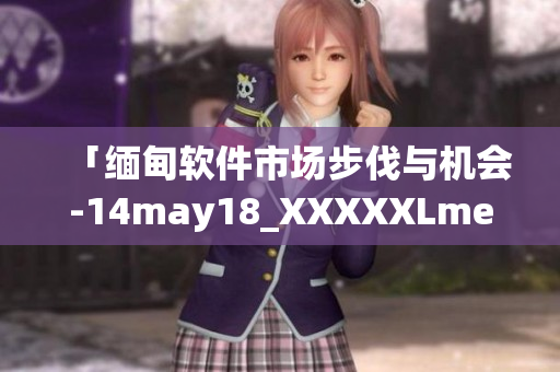 「緬甸軟件市場步伐與機(jī)會-14may18_XXXXXLmedjyf」