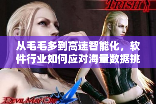 從毛毛多到高速智能化，軟件行業(yè)如何應對海量數(shù)據(jù)挑戰(zhàn)