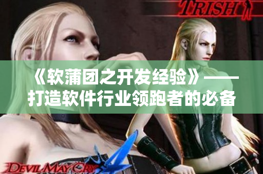 《軟蒲團之開發(fā)經(jīng)驗》——打造軟件行業(yè)領跑者的必備秘籍
