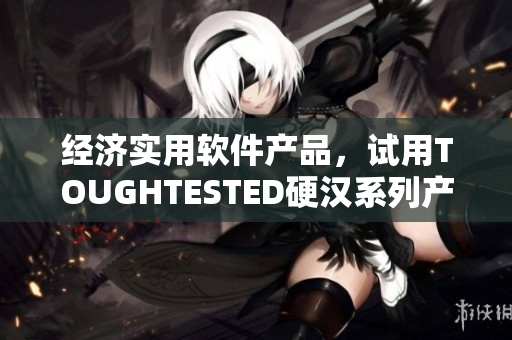經(jīng)濟實用軟件產(chǎn)品，試用TOUGHTESTED硬漢系列產(chǎn)品的評測報告