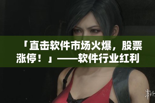 「直擊軟件市場(chǎng)火爆，股票漲停！」——軟件行業(yè)紅利分析