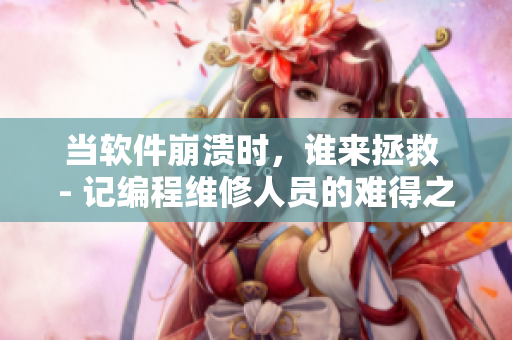 當(dāng)軟件崩潰時(shí)，誰(shuí)來(lái)拯救 - 記編程維修人員的難得之技