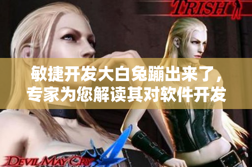 敏捷開發(fā)大白兔蹦出來了，專家為您解讀其對軟件開發(fā)的啟示
