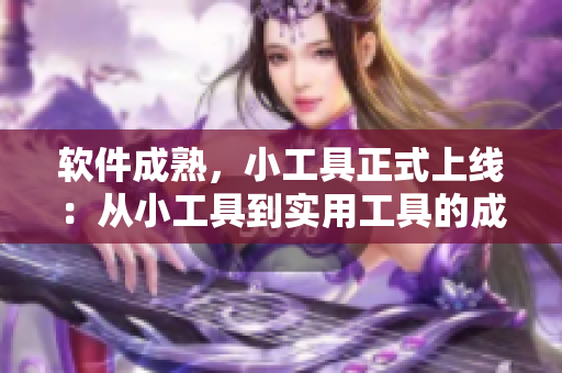 軟件成熟，小工具正式上線：從小工具到實用工具的成長之路
