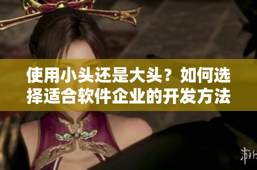 使用小頭還是大頭？如何選擇適合軟件企業(yè)的開發(fā)方法？
