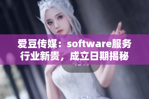 愛豆傳媒：software服務(wù)行業(yè)新貴，成立日期揭秘