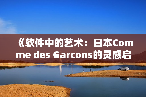 《軟件中的藝術(shù)：日本Comme des Garcons的靈感啟示》