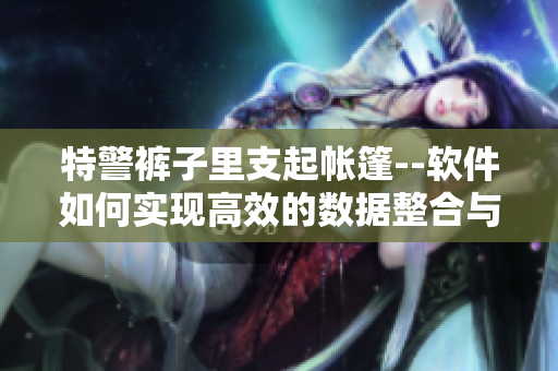 特警褲子里支起帳篷--軟件如何實(shí)現(xiàn)高效的數(shù)據(jù)整合與處理？