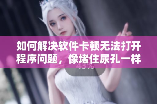 如何解決軟件卡頓無(wú)法打開(kāi)程序問(wèn)題，像堵住尿孔一樣困擾您？