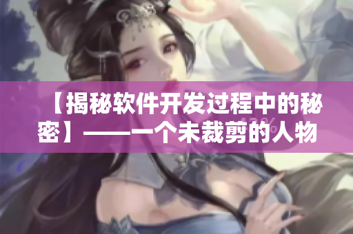 【揭秘軟件開發(fā)過程中的秘密】——一個(gè)未裁剪的人物設(shè)定重新詮釋