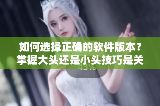 如何選擇正確的軟件版本？掌握大頭還是小頭技巧是關(guān)鍵！