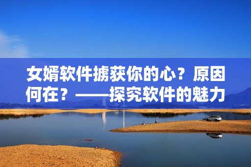 女婿軟件擄獲你的心？原因何在？——探究軟件的魅力