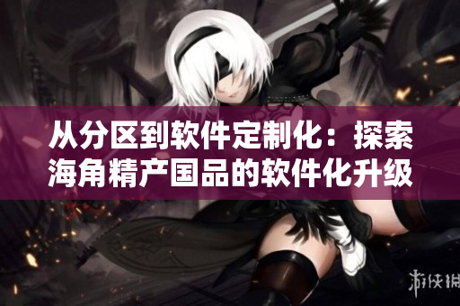 從分區(qū)到軟件定制化：探索海角精產國品的軟件化升級之路
