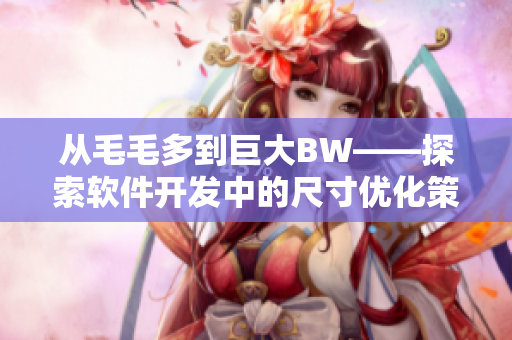 從毛毛多到巨大BW——探索軟件開發(fā)中的尺寸優(yōu)化策略
