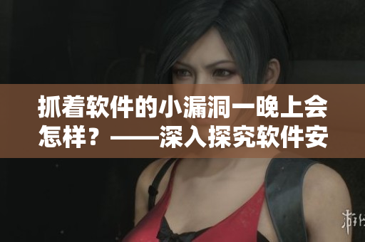 抓著軟件的小漏洞一晚上會怎樣？——深入探究軟件安全問題