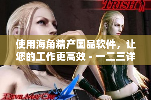 使用海角精產(chǎn)國品軟件，讓您的工作更高效 - 一二三詳解