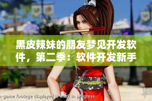 黑皮辣妹的朋友夢見開發(fā)軟件，第二季：軟件開發(fā)新手入門攻略！