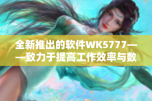 全新推出的軟件WK5777——致力于提高工作效率與數(shù)據(jù)安全性