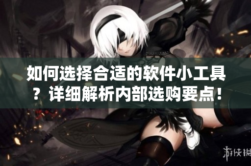 如何選擇合適的軟件小工具？詳細(xì)解析內(nèi)部選購要點(diǎn)！