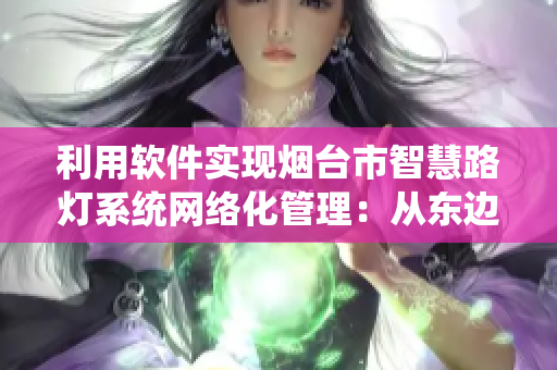 利用軟件實(shí)現(xiàn)煙臺(tái)市智慧路燈系統(tǒng)網(wǎng)絡(luò)化管理：從東邊大炕到智慧城市