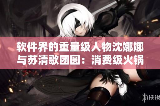 軟件界的重量級人物沈娜娜與蘇清歌團(tuán)圓：消費(fèi)級火鍋軟件逐步升級