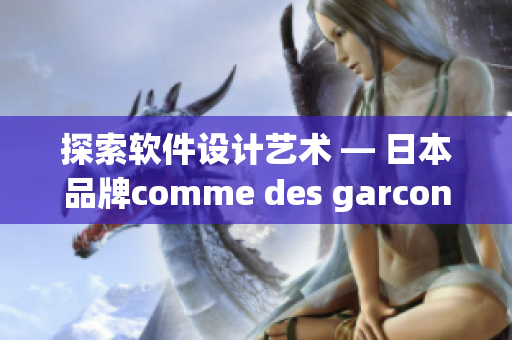 探索軟件設(shè)計(jì)藝術(shù) — 日本品牌comme des garcons啟發(fā)啟示