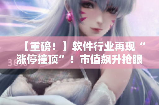 【重磅！】軟件行業(yè)再現(xiàn)“漲停撞頂”！市值飆升搶眼！