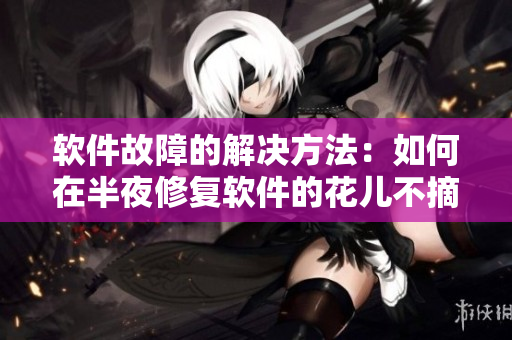 軟件故障的解決方法：如何在半夜修復(fù)軟件的花兒不摘錯誤