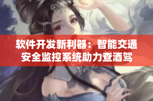 軟件開(kāi)發(fā)新利器：智能交通安全監(jiān)控系統(tǒng)助力查酒駕