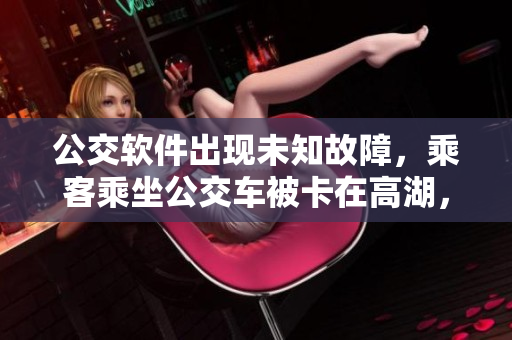 公交軟件出現(xiàn)未知故障，乘客乘坐公交車(chē)被卡在高湖，需要及時(shí)修復(fù)。