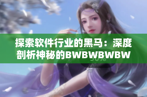 探索軟件行業(yè)的黑馬：深度剖析神秘的BWBWBWBWBWBWBW