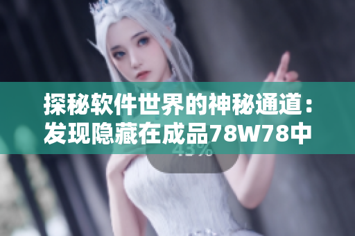 探秘軟件世界的神秘通道：發(fā)現(xiàn)隱藏在成品78W78中的關(guān)鍵技巧