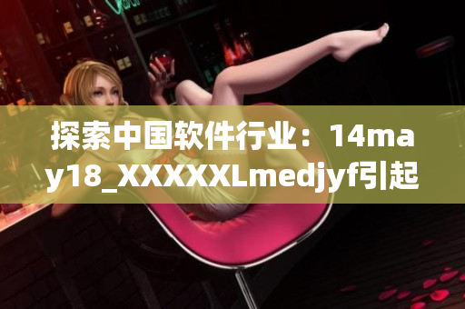 探索中國軟件行業(yè)：14may18_XXXXXLmedjyf引起的思考