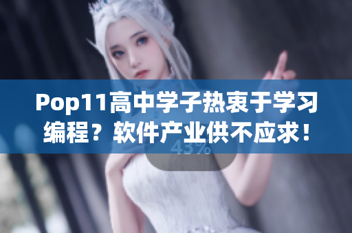 Pop11高中學(xué)子熱衷于學(xué)習(xí)編程？軟件產(chǎn)業(yè)供不應(yīng)求！