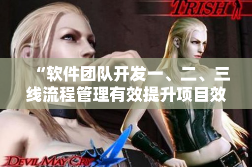 “軟件團隊開發(fā)一、二、三線流程管理有效提升項目效率”