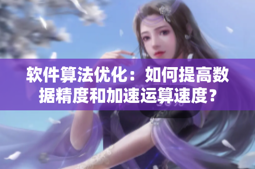 軟件算法優(yōu)化：如何提高數(shù)據(jù)精度和加速運(yùn)算速度？