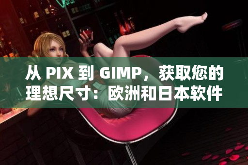從 PIX 到 GIMP，獲取您的理想尺寸：歐洲和日本軟件尺碼指南