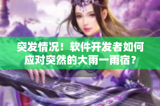 突發(fā)情況！軟件開發(fā)者如何應(yīng)對(duì)突然的大雨一雨宿？