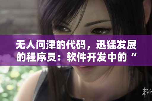 無人問津的代碼，迅猛發(fā)展的程序員：軟件開發(fā)中的“干柴烈火”