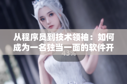 從程序員到技術(shù)領(lǐng)袖：如何成為一名獨(dú)當(dāng)一面的軟件開發(fā)者？