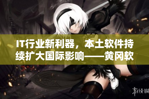 IT行業(yè)新利器，本土軟件持續(xù)擴大國際影響——黃岡軟件走向國際市場