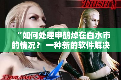 “如何處理申鶴焯在白水市的情況？ 一種新的軟件解決方案”