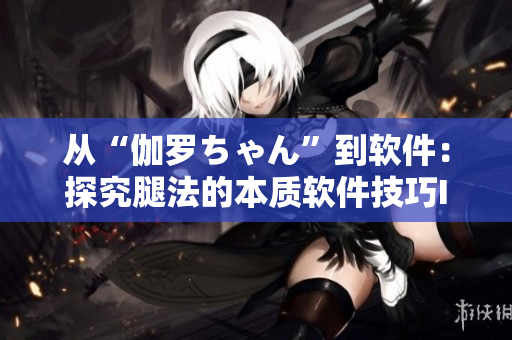 從“伽羅ちゃん”到軟件：探究腿法的本質(zhì)軟件技巧IT資訊
