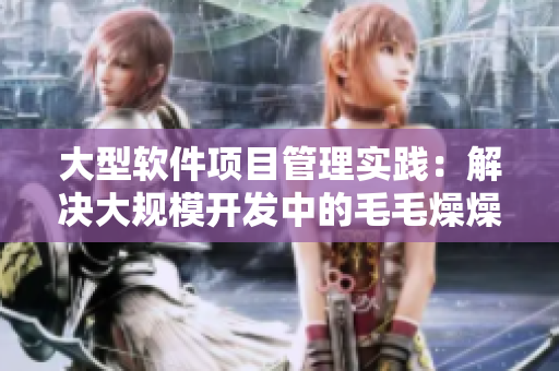 大型軟件項目管理實踐：解決大規(guī)模開發(fā)中的毛毛燥燥和混沌問題