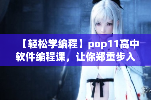 【輕松學(xué)編程】pop11高中軟件編程課，讓你鄭重步入程序員世界