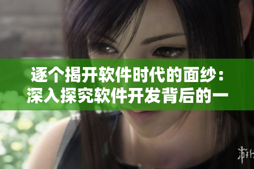 逐個(gè)揭開(kāi)軟件時(shí)代的面紗：深入探究軟件開(kāi)發(fā)背后的一顆顆荔枝