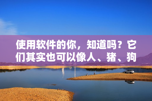 使用軟件的你，知道嗎？它們其實也可以像人、豬、狗一樣有生命周期！