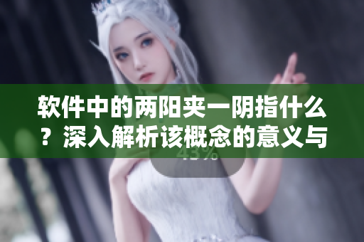 軟件中的兩陽夾一陰指什么？深入解析該概念的意義與作用